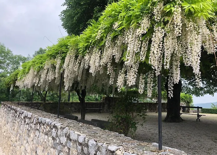 Ground Floor - Hauseman Building Close To Thermes Lejlighed